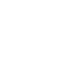 Nephrology Icon
